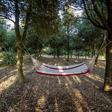 Holiday Country House Sulla Via Degli Etruschi San Feliciano Peg011003 Cyb Magione